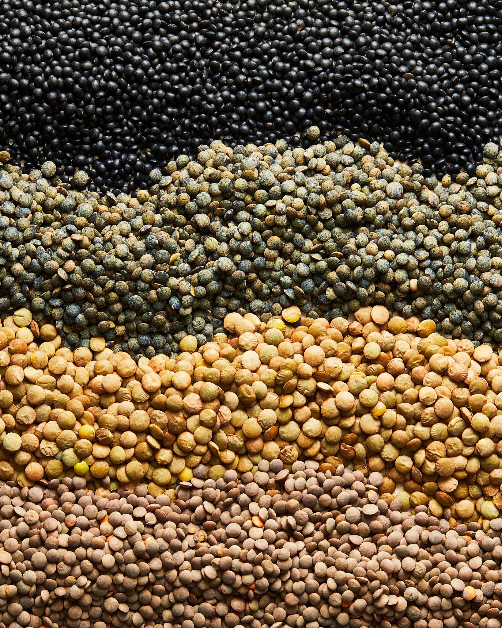 Four rows of lentils are spread in lines: black, green, tan and brown.